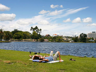 Hamilton Lake Domain