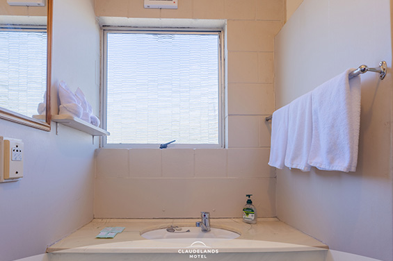Queen Room bathroom