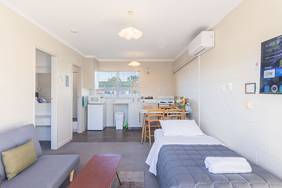 Twin or Triple King Single Room